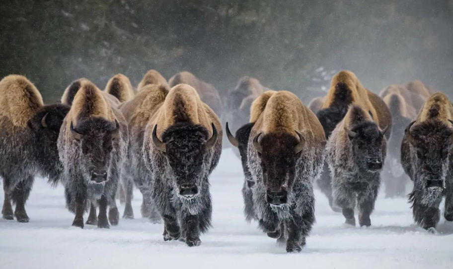 福州欣景园环境设备有限公司轮播图2